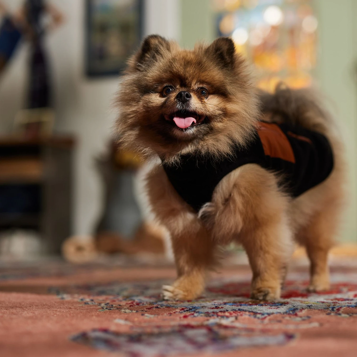 Frisco Light Weight Leopard Print Lined Fleece Dog & Cat Vest 9 Frisco Light Weight Leopard Print Lined Fleece Dog & Cat Vest - Image 7