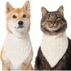 Frisco Solid Faux Fur Dog & Cat Bandana 2 Frisco Solid Faux Fur Dog & Cat Bandana -Pet Cat Store 733878 MAIN. AC SS1800 V1692379951