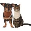 Frisco Reversible Cozy Knit Faux Fur Dog & Cat Pullover Bandana 1 Frisco Reversible Cozy Knit Faux Fur Dog & Cat Pullover Bandana -Pet Cat Store 733918 MAIN. AC SS1800 V1692380241