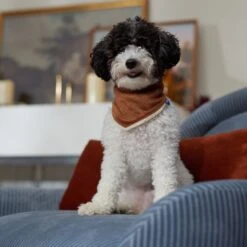 Frisco Reversible Cozy Knit Faux Fur Dog & Cat Pullover Bandana -Pet Cat Store 733918 PT6. AC SS1800 V1692378160