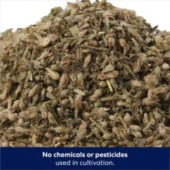 Frisco Natural Catnip & Hartz Cattraction Silver Vine & Catnip Gator Cat Scratcher Toy, Color Varies -Pet Cat Store 737470 PT3. AC SS1800 V1683212146