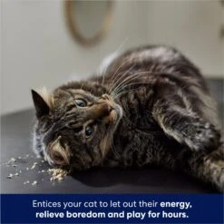 Frisco Natural Catnip & Hartz Cattraction Silver Vine & Catnip Gator Cat Scratcher Toy, Color Varies -Pet Cat Store 737470 PT4. AC SS1800 V1683212147