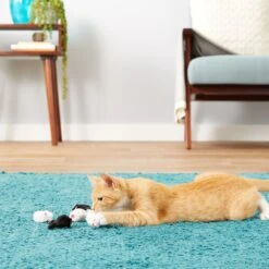 Frisco Natural Catnip & Hartz Just For Cats Mini Mice Cat Toy With Catnip, 5 Count 19 Frisco Natural Catnip & Hartz Just For Cats Mini Mice Cat Toy With Catnip, 5 Count -Pet Cat Store 737478 PT8. AC SS1800 V1683212080