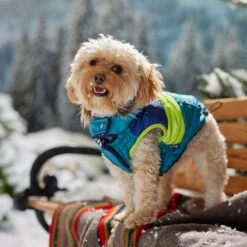 Frisco Heavy Weight Urban City Colorblock Dog & Cat Parka With Sherpa Lining -Pet Cat Store 742262 PT7. AC SS1800 V1692378161