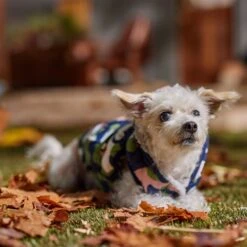 Frisco Medium Weight Urban City Camo Printed Dog & Cat Hooded Coat -Pet Cat Store 742358 PT7. AC SS1800 V1692376368