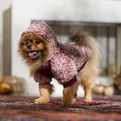 Frisco Textured Wubby 2-Tone Fleece Dog & Cat Hoodie 18 Frisco Textured Wubby 2-Tone Fleece Dog & Cat Hoodie -Pet Cat Store 742406 PT7. AC SS1800 V1692378336