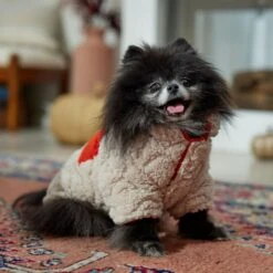 Frisco Medium Weight Quilted Sherpa Dog & Cat Zipper Coat -Pet Cat Store 744166 PT7. AC SS1800 V1692377763