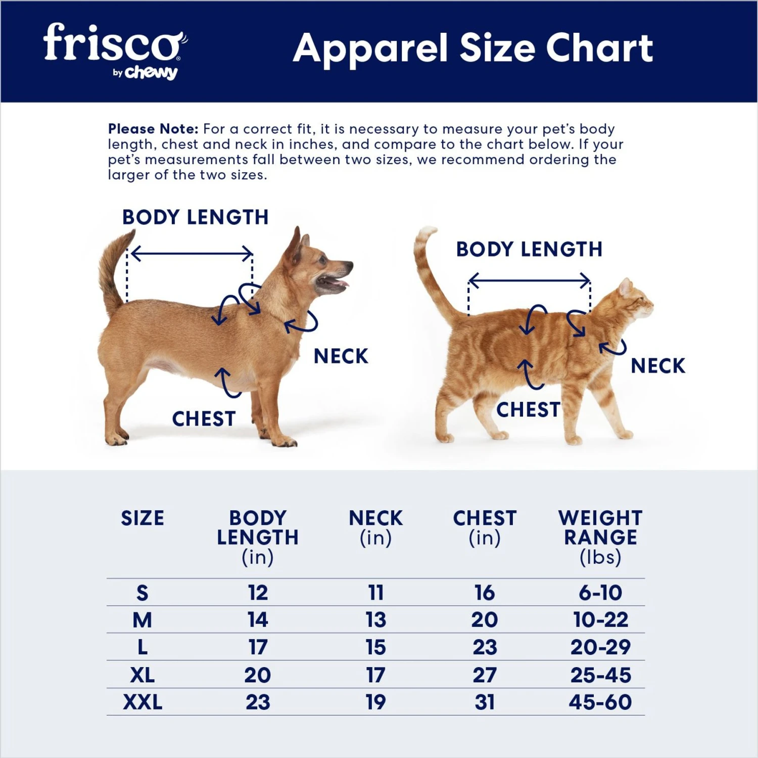 Frisco Medium Weight Quilted Ruffle Tiered Dog & Cat Dress 4 Frisco Medium Weight Quilted Ruffle Tiered Dog & Cat Dress - Image 2
