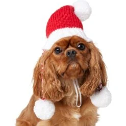 Frisco Chunky Knit Santa Dog & Cat Hat -Pet Cat Store 744878 PT2. AC SS1800 V1694812755