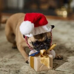 Frisco Chunky Knit Santa Dog & Cat Hat -Pet Cat Store 744878 PT5. AC SS1800 V1694793814