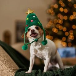 Frisco Christmas Tree Faux Fur Dog & Cat Hat 14 Frisco Christmas Tree Faux Fur Dog & Cat Hat -Pet Cat Store 745582 PT5. AC SS1800 V1694793444