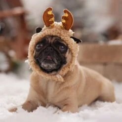 Frisco Sherpa Reindeer Dog & Cat Hat With Bells -Pet Cat Store 745646 PT5. AC SS1800 V1694795597