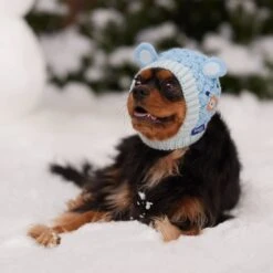 Frisco Nordic Ears Sweater Knit Dog & Cat Hat 14 Frisco Nordic Ears Sweater Knit Dog & Cat Hat -Pet Cat Store 745710 PT5. AC SS1800 V1695671059