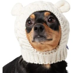 Frisco Polar Bear Sweater Knit Dog & Cat Hat 11 Frisco Polar Bear Sweater Knit Dog & Cat Hat -Pet Cat Store 745742 PT2. AC SS1800 V1694793756