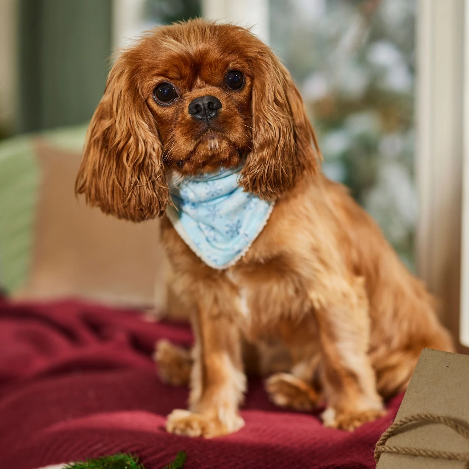 Frisco Reversible Snowflake Cozy Knit Faux Fur Dog & Cat Pullover Bandana, 1 Count 8 Frisco Reversible Snowflake Cozy Knit Faux Fur Dog & Cat Pullover Bandana, 1 Count - Image 6