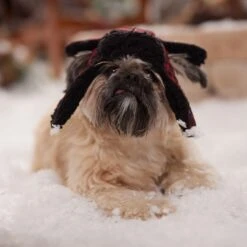 Frisco Tartan Plaid Dog & Cat Trapper Hat 14 Frisco Tartan Plaid Dog & Cat Trapper Hat -Pet Cat Store 746750 PT5. AC SS1800 V1694800749