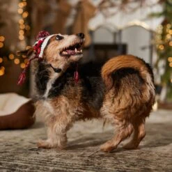 Frisco Nordic Pawprint Dog & Cat Hat 14 Frisco Nordic Pawprint Dog & Cat Hat -Pet Cat Store 746782 PT5. AC SS1800 V1694799891