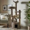 Frisco 64-in Real Carpet Wooden Cat Tree And Condo 2 Frisco 64-in Real Carpet Wooden Cat Tree And Condo -Pet Cat Store 914950 MAIN. AC SS1800 V1697732994