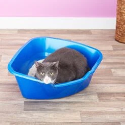 Frisco Collapsible Wire Cat Cage Playpen & Van Ness High Side Corner Cat Litter Pan, Blue 19 Frisco Collapsible Wire Cat Cage Playpen & Van Ness High Side Corner Cat Litter Pan, Blue -Pet Cat Store 933382 PT8. AC SS1800 V1692305264