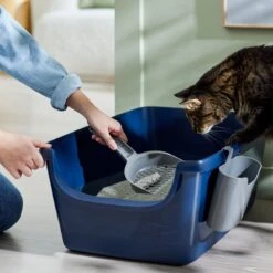 Frisco Open Top Cat Litter Box With Rim, Large & Frisco Plastic Litter Scooper With Caddy 16 Frisco Open Top Cat Litter Box With Rim, Large & Frisco Plastic Litter Scooper With Caddy -Pet Cat Store 947526 PT5. AC SS1800 V1693924259