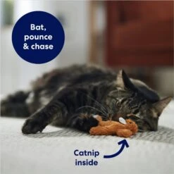 Frisco Squirrel Plush Cat Toy With Refillable Catnip & Frisco Bird With Feathers Teaser Wand Cat Toy With Catnip -Pet Cat Store 962030 PT3. AC SS1800 V1694783954