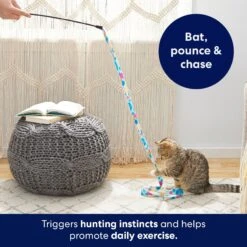 Frisco Fabric Teaser Wand Cat Toy & Frisco Bird With Feathers Teaser Wand Cat Toy With Catnip -Pet Cat Store 962094 PT3. AC SS1800 V1694782977