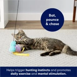 Frisco Fabric Teaser Wand Cat Toy & Frisco Bird With Feathers Teaser Wand Cat Toy With Catnip -Pet Cat Store 962094 PT8. AC SS1800 V1694782976