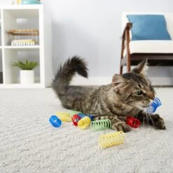 Frisco Colorful Springs Cat Toy & Frisco Bird With Feathers Teaser Wand Cat Toy With Catnip -Pet Cat Store 962126 PT4. AC SS1800 V1694782923