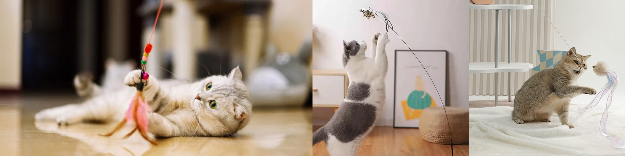 Pet Cat Store -Pet Cat Store 2