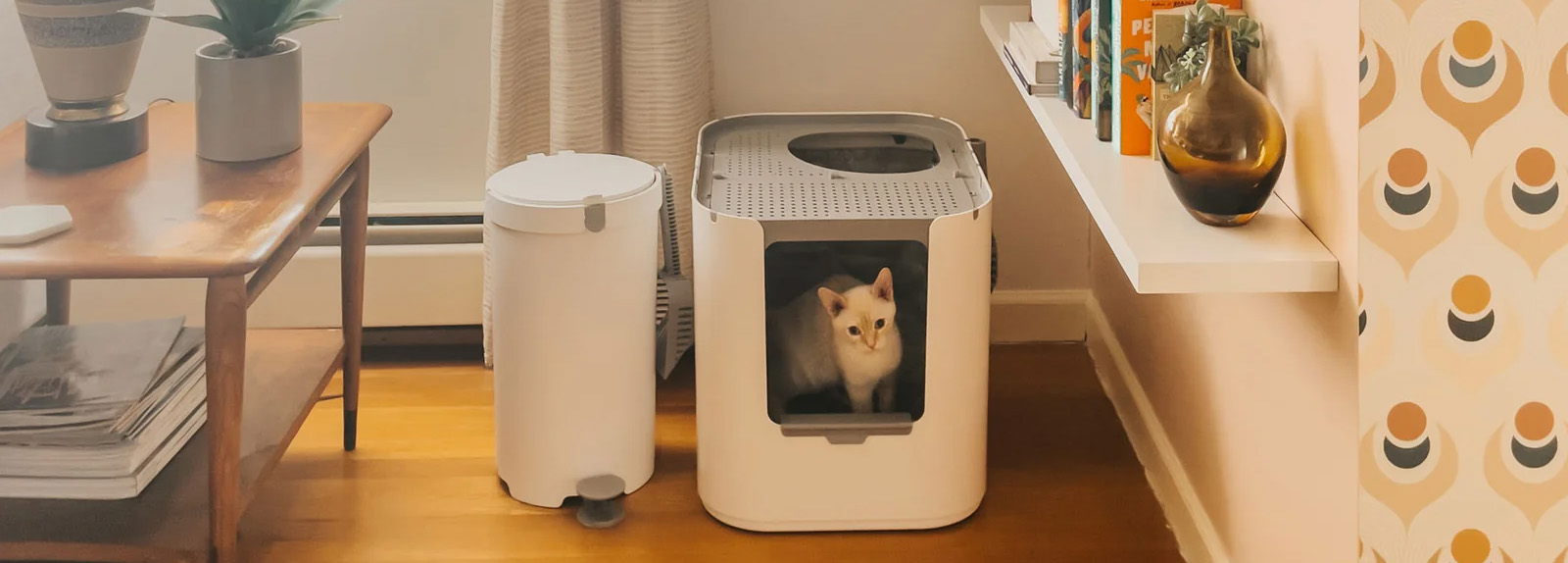 Pet Cat Store -Pet Cat Store 3